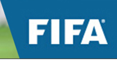人造草坪 FIFA 会员企业