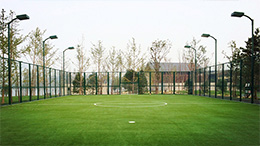 APEC Football Field