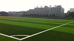 Wuhan Sports College