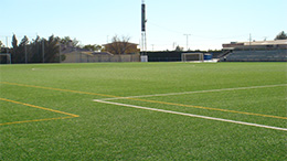 Spain Soccer Field 