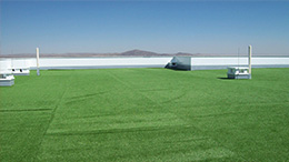 Namibia Field